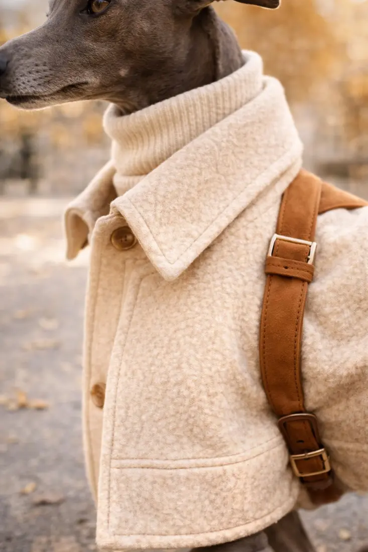 Collar detail